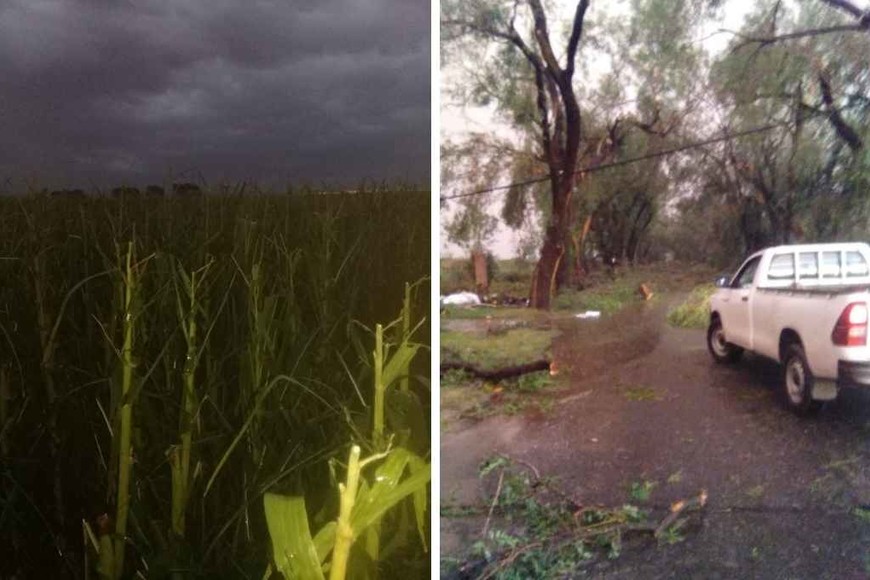 ELLITORAL_424189 | Redes sociales D.R