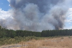 ELLITORAL_428011 |  Captura de pantalla D.R