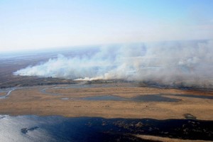 ELLITORAL_288332 |  Subsecretaría de Comunicación Social de Rosario - Silvio Moriconi Todo un problema. La quema de pastizales en la vasta extensión de islas frente a Rosario es recurrente. La gestión Javkin quiere avanzar en varios frentnes para resolver esta situación.