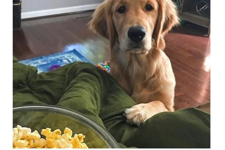 ELLITORAL_427026 | Gentileza D.R