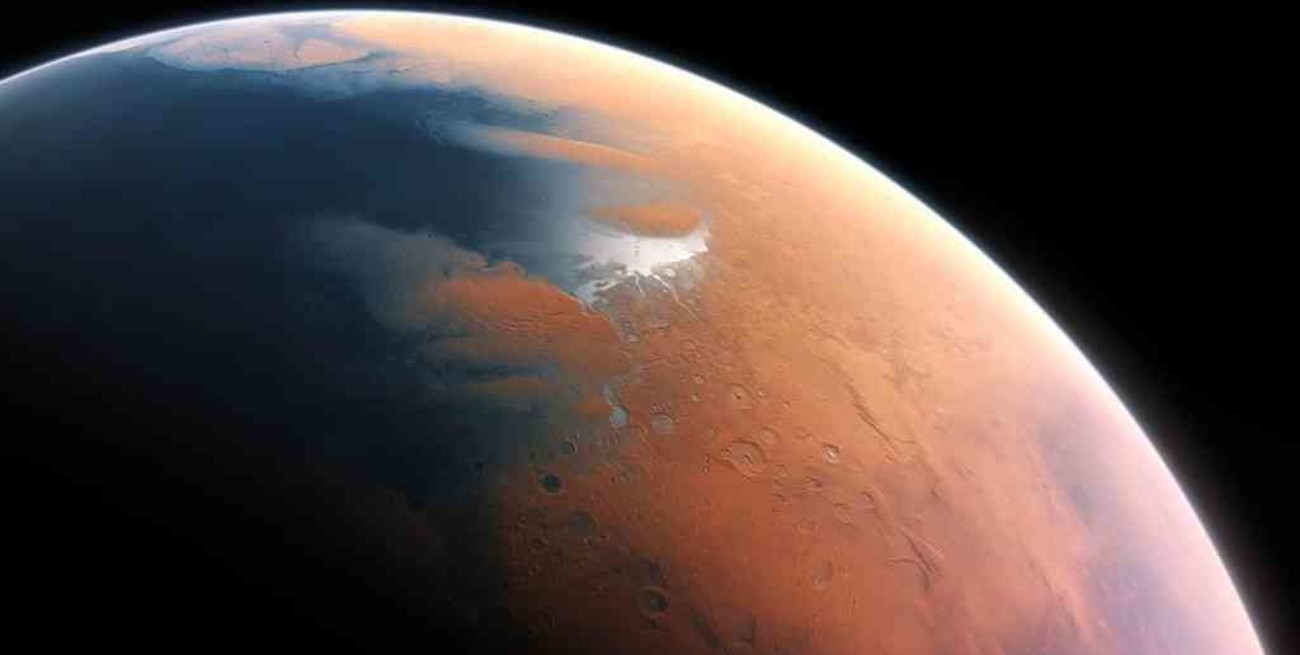 Estudios en algas podrían revelar cómo sobrevivir en Marte