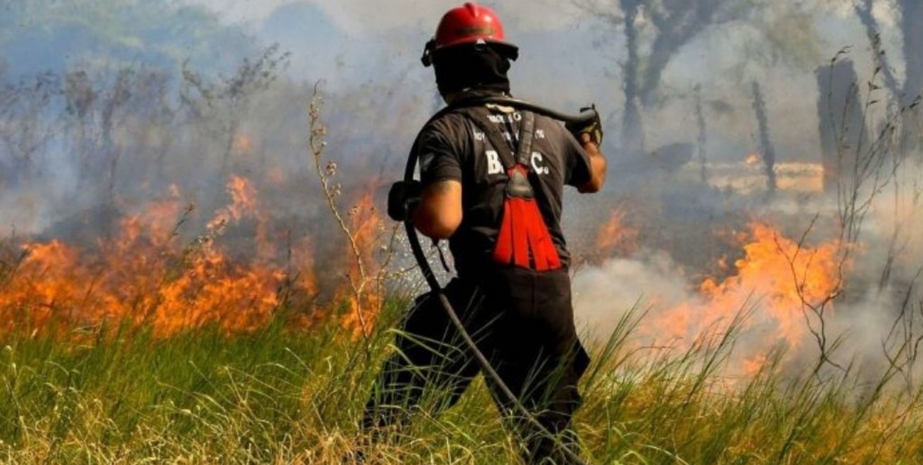 En Corrientes declaran la emergencia por incendios, después de que se quemarán 6 mil hectáreas de bosques