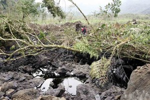 ELLITORAL_433723 |  Imagen Ilustrativa D.R