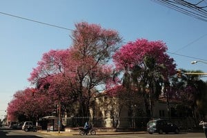 ELLITORAL_415911 |  Flavio Raina - Archivo El Litoral Antes de que se montara el Colegio Nacional, hubo allí un Hospital, el primero de Santa Fe, y luego, un cementerio. El Cementerio de los Angelitos, así lo llamaban, porque comenzó siendo solo para niños.
