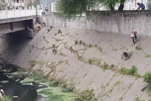 ELLITORAL_410946 |  Gentileza