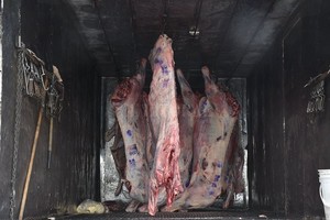 Archivo El Litoral / Guillermo Di Salvatore