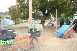 ELLITORAL_15087 | Amancio Alem