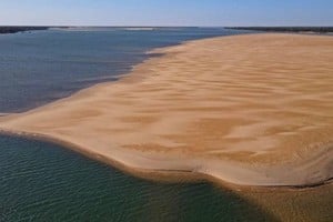 ELLITORAL_405524 |  Gentileza