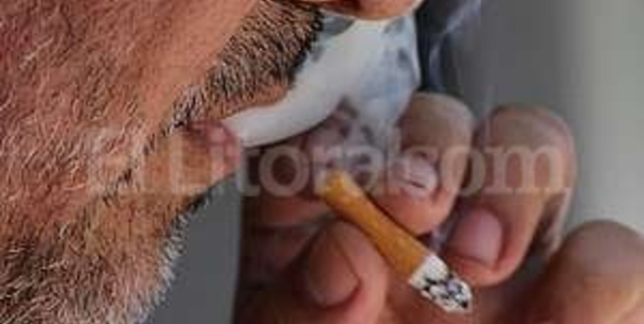 1º de enero: una de las fechas preferidas para dejar de fumar