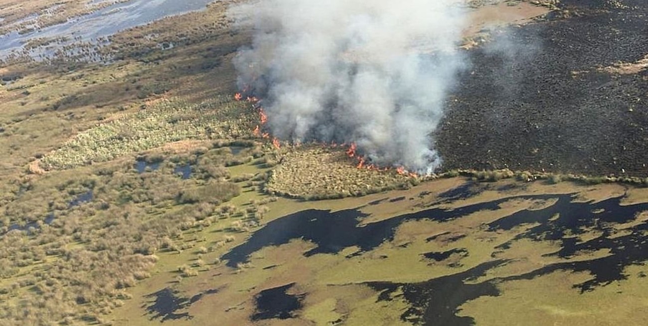 Sequía y bajante del Paraná: escenario propicio para los incendios en las islas