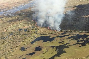 Gentileza Ministerio de Seguridad de la Nación Combustión.  Hay suelos que tienen entre 30 y 40 cm de materiales de composición y esos son muchos de los suelos que están frente a Rosario , indicó Ernesto Massa, especialista en vegetación de islas.
