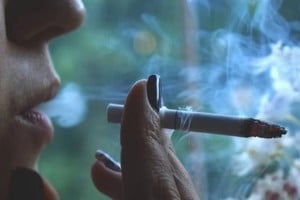 ELLITORAL_423261 |  Gentileza D.R