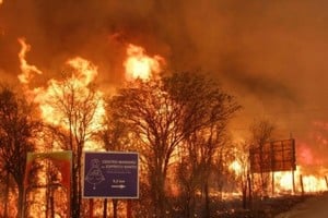 ELLITORAL_414184 |  Gentileza