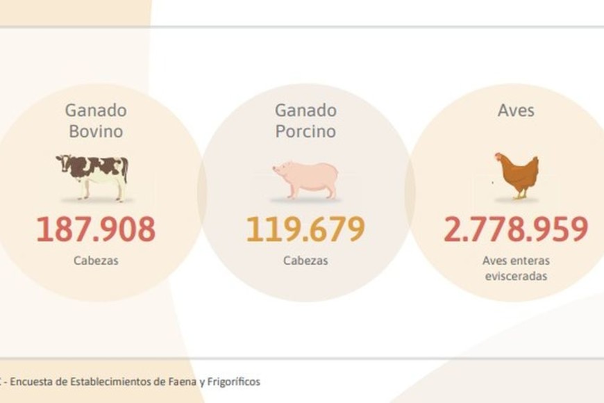 ELLITORAL_430245 |  Gentileza D.R