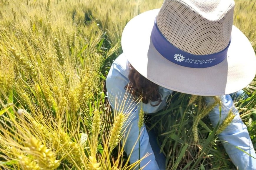 ELLITORAL_432898 |  Bayer Apasionadas por el Campo: Las mujeres son un eslabón fundamental de la cadena agroindustrial; desde Bayer contribuimos a concientizar y valorar su rol.