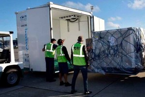 ELLITORAL_414854 |  Gentileza