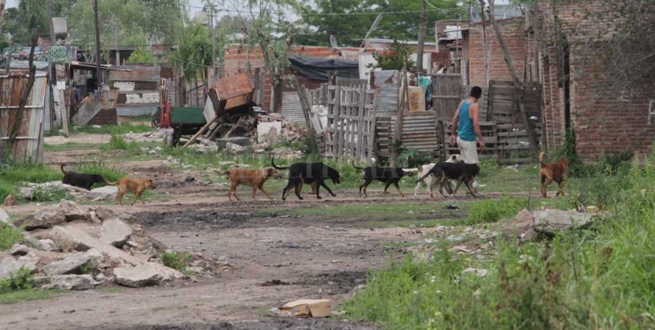 La tasa de pobreza en Argentina bajó a 28,6