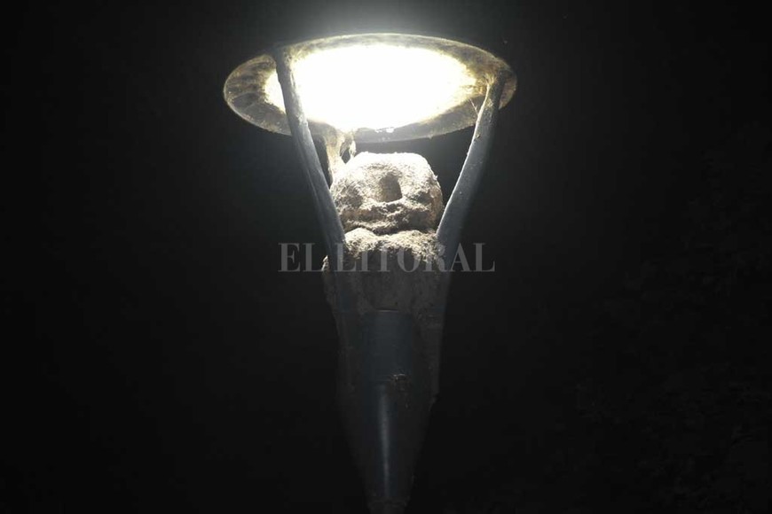 ELLITORAL_415629 |  Manuel Alberto Fabatía A dormir. La postal de los nidos de noche.