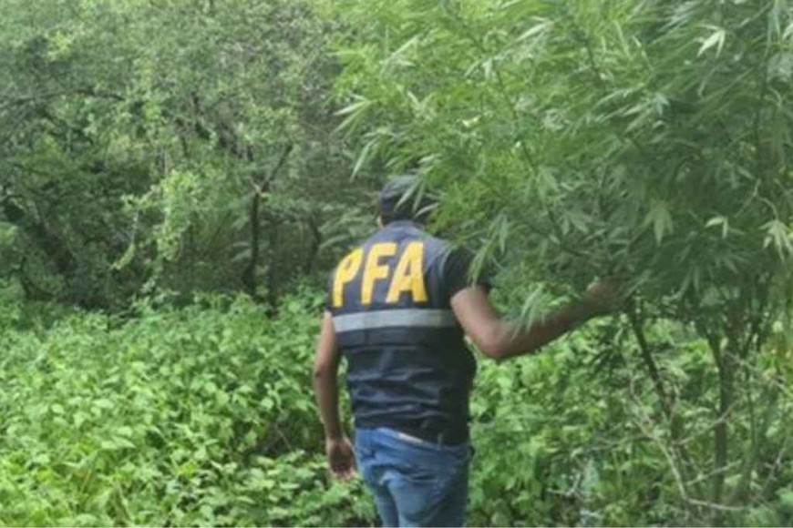 ELLITORAL_441175 | Gentileza D.R