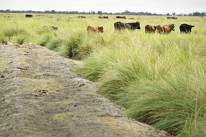 ELLITORAL_445661 |  Gentileza D.R