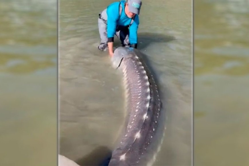 ELLITORAL_444731 |  Gentileza D.R