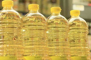 ELLITORAL_449250 |  Gentileza D.R