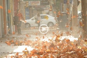 ELLITORAL_445593 |  Gentileza D.R