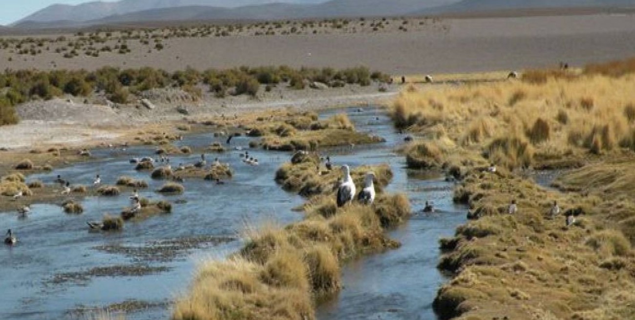 Bolivia se propone revitalizar el Silala con el desmantelamiento de los canales chilenos