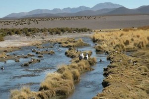 ELLITORAL_448273 |  Gentileza D.R