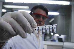 ELLITORAL_441128 |  Gentileza D.R