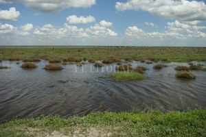 Archivo El Litoral D.R