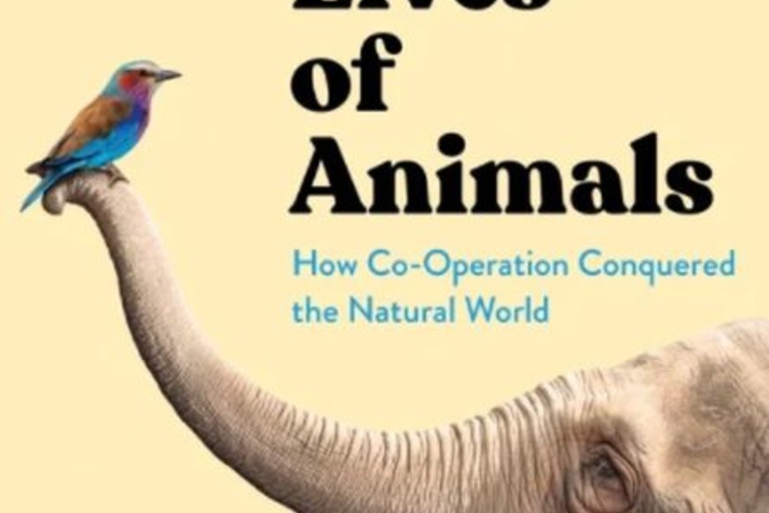 ELLITORAL_444686 |  Gentileza D.R