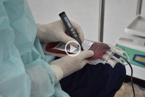 ELLITORAL_446127 |   D.R