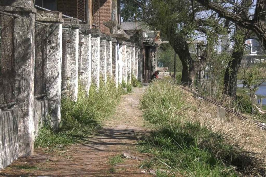 ELLITORAL_443929 |  Juan Vittori Vecinos piden que el barrio sea desmalezado para evitar la propagación de alimañas.