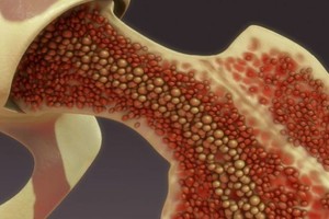 ELLITORAL_445271 |  Gentileza D.R