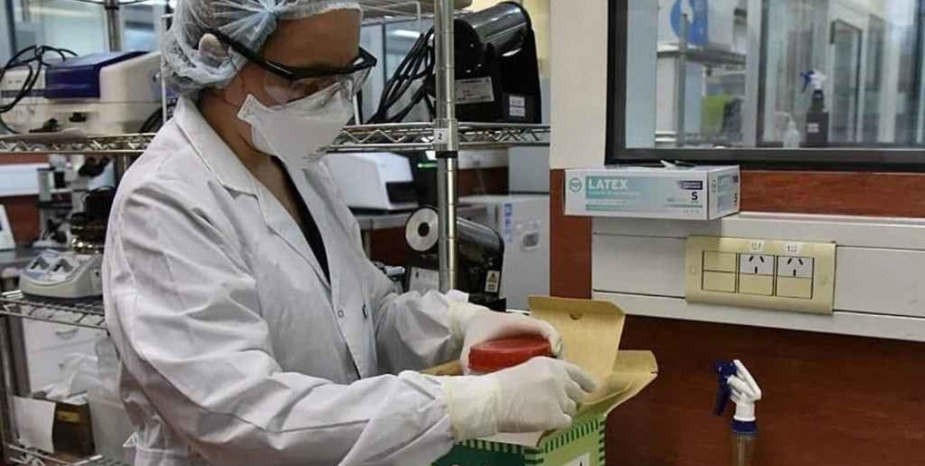 Estudian 27 casos de una nueva subvariante de Ómicron en Argentina, mientras baja el ritmo de vacunación