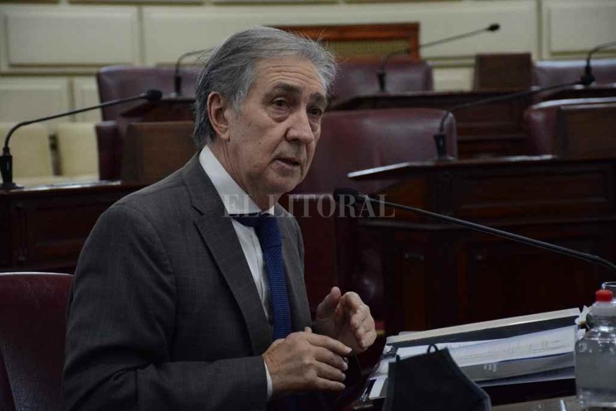 ELLITORAL_441245 |  El Litoral Gramajo expuso situaciones críticas del dpto 9 de Julio en el último plenario del Senado.
