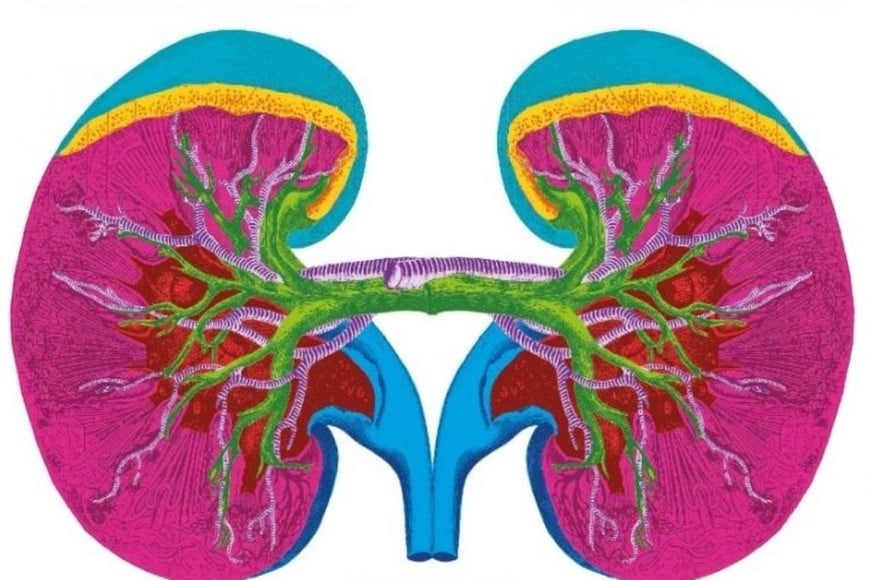 ELLITORAL_442442 |  Gentileza D.R