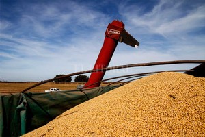 ELLITORAL_443252 |  Noticias Argentinas D.R