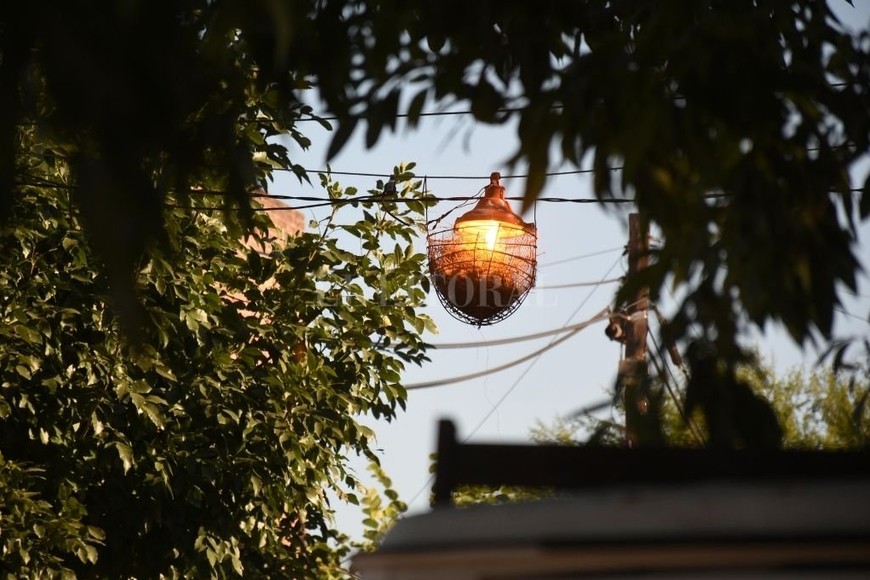 ELLITORAL_444722 |  Pablo Aguirre El  foquito  dura poco: algunos lo rompen de un hondazo. Debajo, un nido.