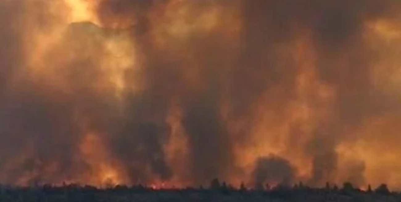 En Bariloche y Neuquén se controlaron los focos de incendio forestales