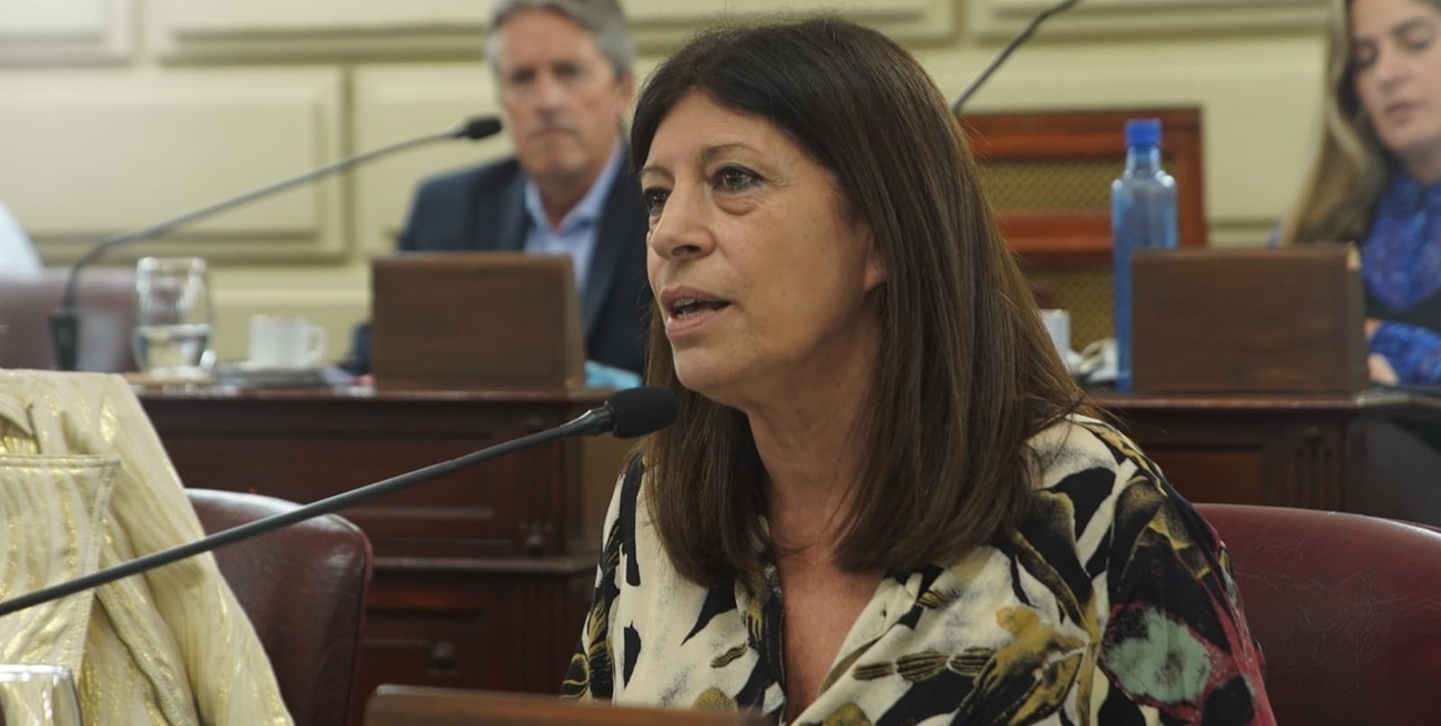 Clara García: "Celebramos que Santa Fe cobre la deuda de Anses reclamada y gestionada por el Gobierno anterior"