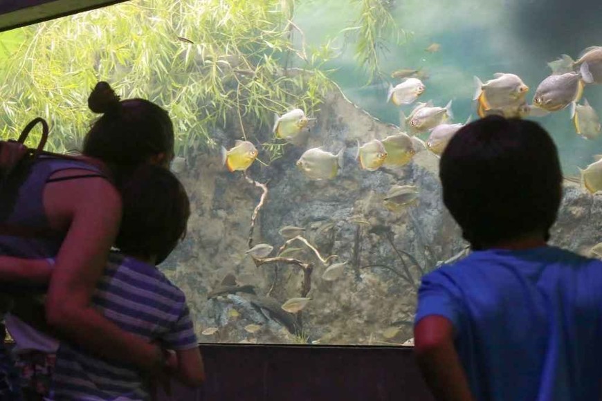 ELLITORAL_450930 |  Gentileza D.R