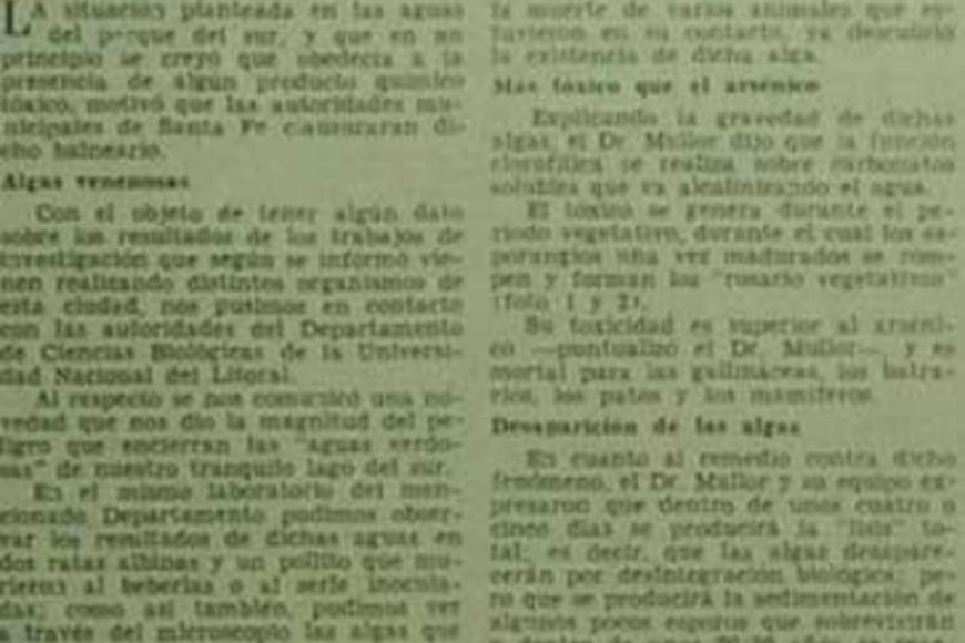 ELLITORAL_451078 |  Archivo El Litoral Copia digital del artículo de El Litoral de 1973:  Un alga venenosa cubre el lago del Parque Belgrano , era el título.