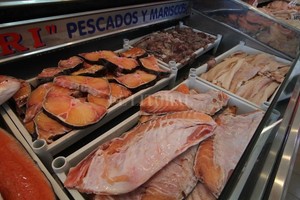 Guillermo Di Salvatore D.R