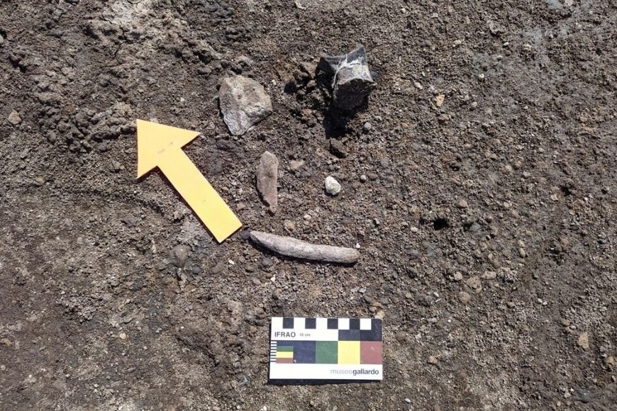 ELLITORAL_450294 |  Gentileza D.R