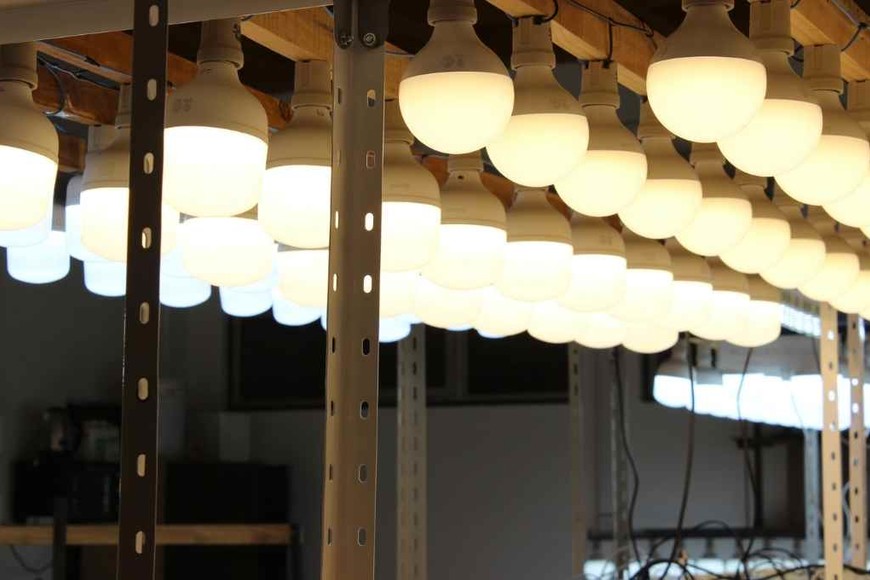 ELLITORAL_449688 |  Gentileza D.R