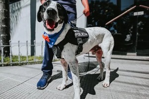 ELLITORAL_450101 |  Gentileza D.R