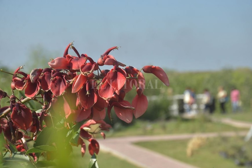 ELLITORAL_454956 |  Flavio Raina Reserva Natural Urbana del Oeste de la ciudad de Santa Fe