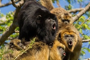 ELLITORAL_454180 |  Gentileza D.R